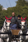 Slovenia - Lipica / Lipizza - Goriska region: Lipica stud farm - Combined driving event - britzka - Carriage Driving - photo by I.Middleton