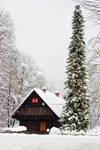 Slovenia - Alpine housing in Stara Fuzina village beside Bohinj Lake - photo by I.Middleton