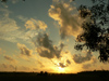 Sri Lanka - Ganemulla region - evening beauty of the sky through a paddy field - photo by K.Y.Ganeshapriya