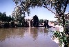 Syria - Hama / Hamah: waterwheels take the Orontes to the aqueduct