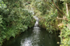 28 Tanzania - Kilimanjaro NP: Marangu Route - day 1 - a small waterfall, in the rainforest - photo by A.Ferrari