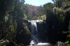 44 Tanzania - Kilimanjaro NP: Marangu Route - day 2 - waterfall in the moorlands - photo by A.Ferrari