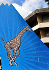 Dar es Salaam, Tanzania: giraffe on a mock aircraft tail - Air Tanzania - the Wings of Kilimanjaro - ATC House - corner of Ohio Street and Garden Avenue - photo by M.Torres