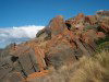 Tasmania - East Coast: orange lichen - boulders near St Helen's - Break O'day municipality  (photo by Fiona Hoskin)