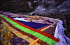 Genbei, Lhasa Prefecture, Tibet - Drepung Monastery - religious ceremony - Greeting the Sun - traditional festival of Zhanfo or Shoton, i.e. Buddha in sunshine - wuze Hill, foot of Mount Gephel - Gelug Sect - photo by Y.Xu