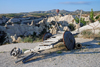 Cappadocia - Greme, Nevsehir province, Central Anatolia, Turkey: old cart and tufa landscape - photo by W.Allgwer