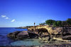 Providenciales - Turks and Caicos: rocky shore - photo by L.Bo