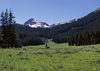 Rio Grande National Forest, Colorado, USA: hikers in the Rincon La Vaca Valley alpine forest with the Rio Grande Pyramid behind - Colorado Rockies - photo by C.Lovell