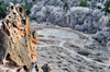 Bandelier National Monument, New Mexico, USA: Tyuonyi Village seen from the Frey Trail - homes of the Ancestral Pueblo People - Frijoles Canyon - photo by M.Torres