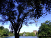 Manhattan (New York City): Lake Harlem - Central Park - photo by M.Bergsma