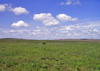 72 Kansas Tallgrass Prairie - photo by G.Frysinger