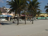 Fort Lauderdale / FLL / FXE (Florida): sandy backyard (photo by S.Young)