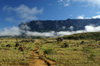 26 Venezuela - Bolivar - Canaima NP - Approaching Roraima - photo by A. Ferrari