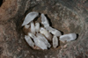 59 Venezuela - Bolivar - Canaima NP - Quartz Crystals at the top of Roraima II - photo by A. Ferrari