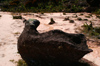 64 Venezuela - Bolivar - Canaima NP - Rock and pink sand, at the top of Roraima - photo by A. Ferrari