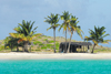 Los Testigos islands, Venezuela: beach at Testigo Grande island - coconut trees and hut - photo by E.Petitalot