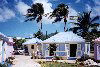 British Virgin Islands - Tortola: Road Town - windswept (photo by M.Torres)