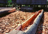 West Papua / Irian Jaya - Syuru village: dugout canoe being prepared - local 'shipyard' - photo by G.Frysinger