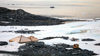 Commonwealth Bay, East Antarctica: view of Cape Denison - Mawson's Huts, maintained by Australian Antarctic Division; Mawson's Huts Foundation - Spirit of Enderby in background - photo by R.Eime