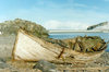 Trinity Island, Palmer Archipelago, Antarctica: remains of a whaling scow - photo by G.Frysinger