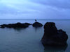 Cook Islands - Aitutaki island: bird on rock in lagoon - photo by B.Goode