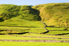 Hope Valley, Peak District, Derbyshire, England: stone walls and grass - near Castleton - photo by I.Middleton