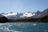 South Georgia Island - Husvik - Stromness Bay - Antarctic region images by C.Breschi